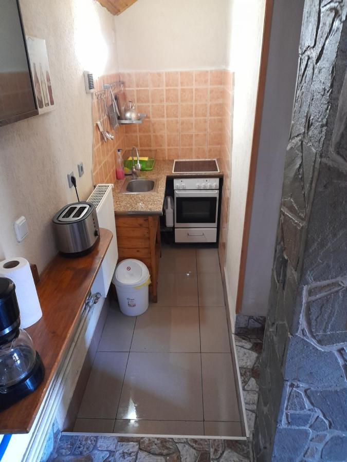 Casa Gabriela Βίλα Σινάια Εξωτερικό φωτογραφία