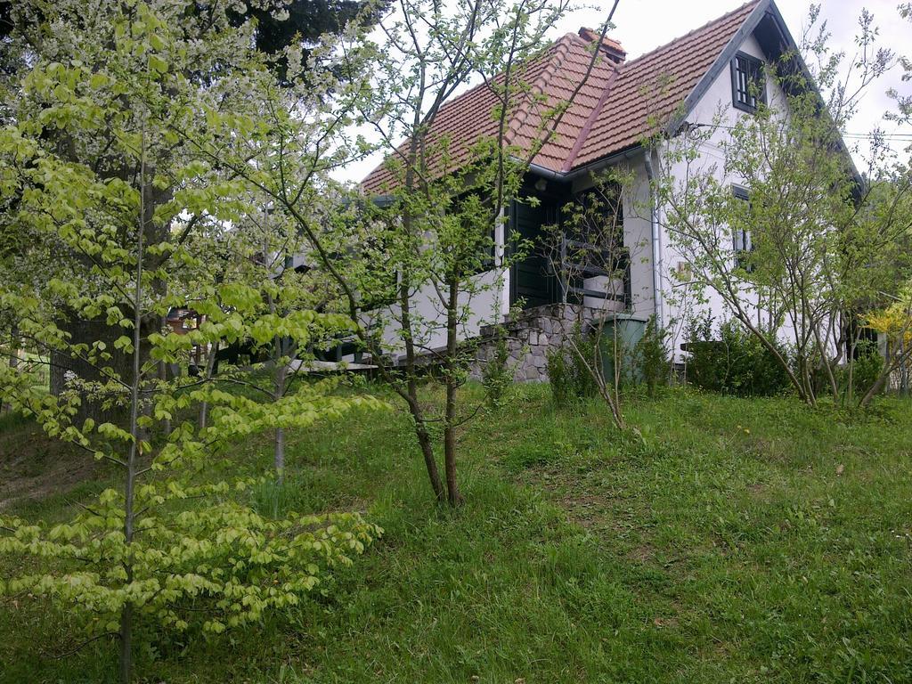 Casa Gabriela Βίλα Σινάια Δωμάτιο φωτογραφία