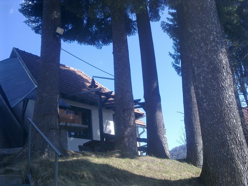 Casa Gabriela Βίλα Σινάια Δωμάτιο φωτογραφία