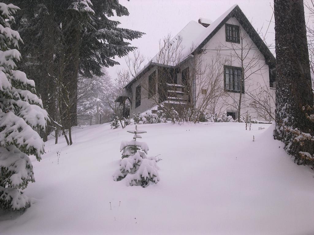 Casa Gabriela Βίλα Σινάια Δωμάτιο φωτογραφία