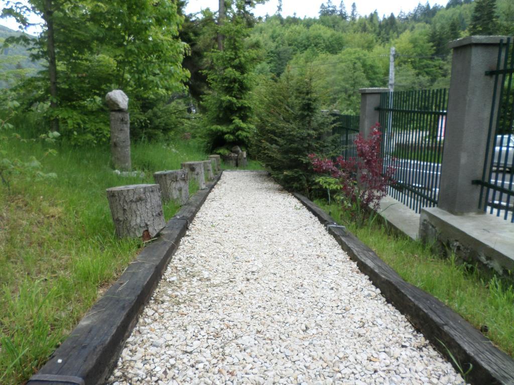 Casa Gabriela Βίλα Σινάια Εξωτερικό φωτογραφία